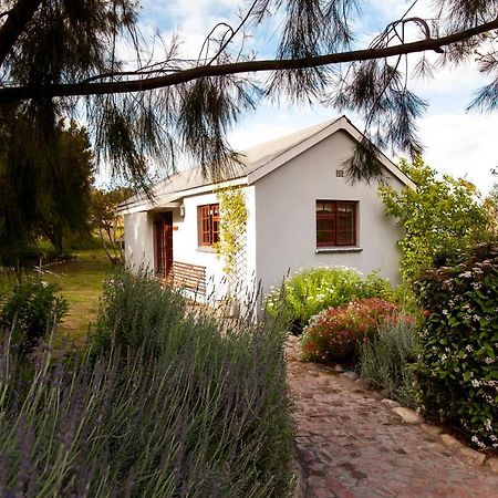 Summerhill Guest Farm Worcester Exterior foto